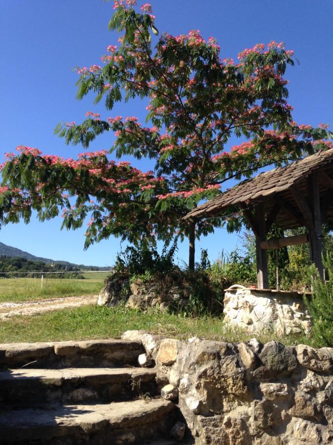 Villa Les Patins A Roulottes Yenne Exterior foto